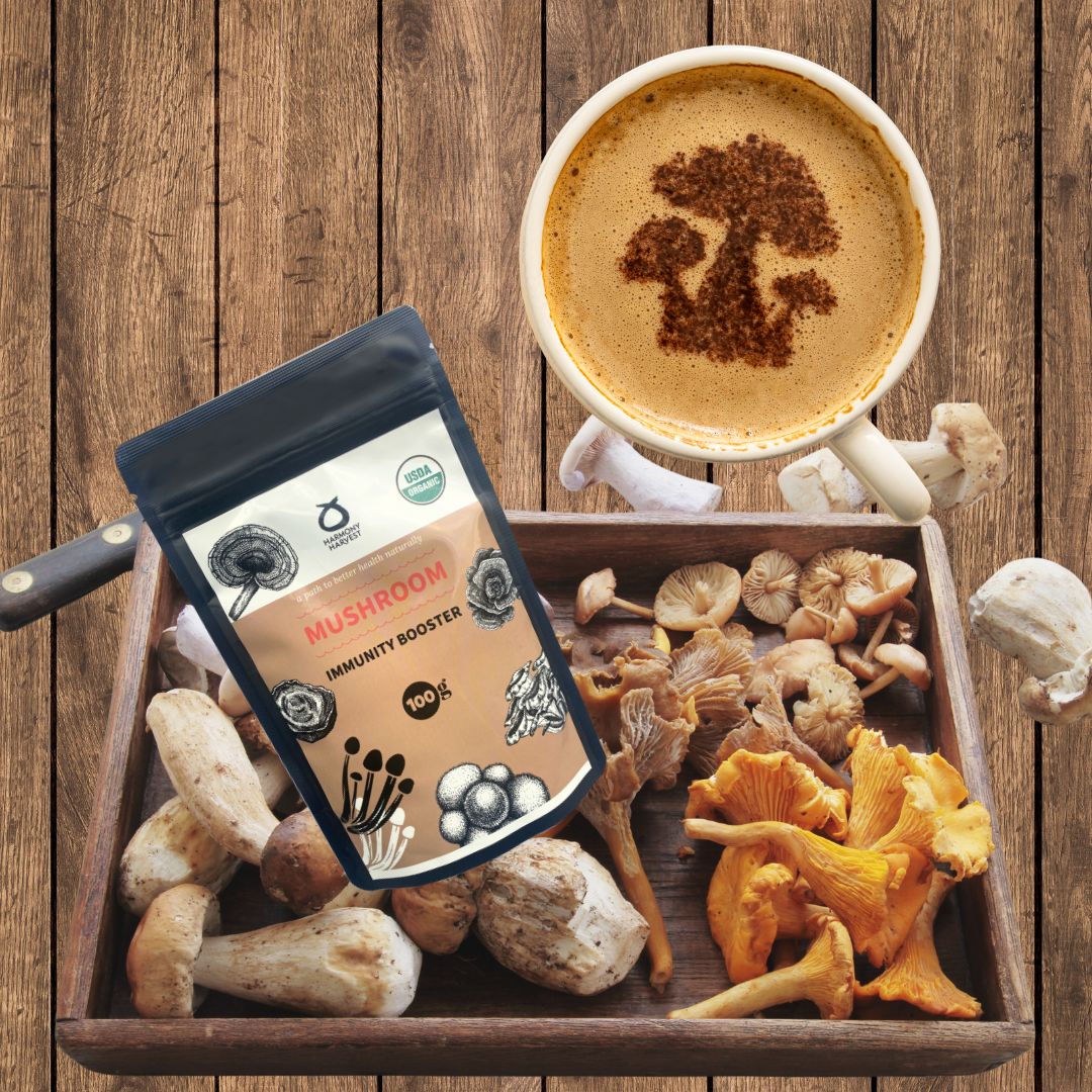 Mushroom Immunity Booster マッシュルームブースター