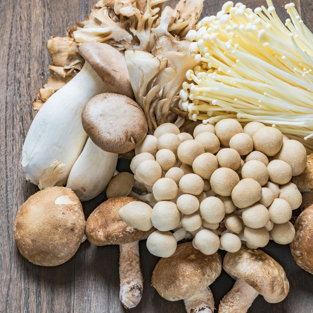 Mushroom Immunity Booster マッシュルームブースター